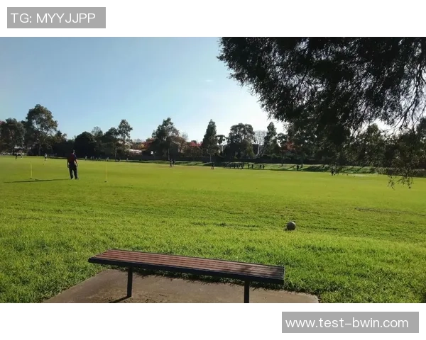 风云足球音乐台带你领略激情四溢的绿茵场与动人旋律的完美结合